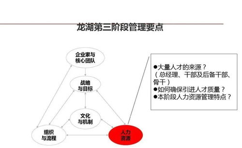 龍湖企業管理與運營精細化管理之道